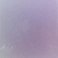 Hyacinth Purple Sintered Glass Tile