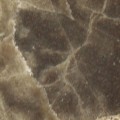 Falcon Brown Natural Stone Tile