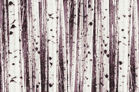 Purple Birch Trees Contemporary Photorealistic Mosaic by Artaic