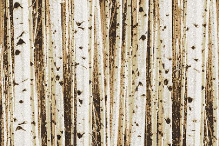 Tan Birch Trees Contemporary Photorealistic Mosaic by Artaic