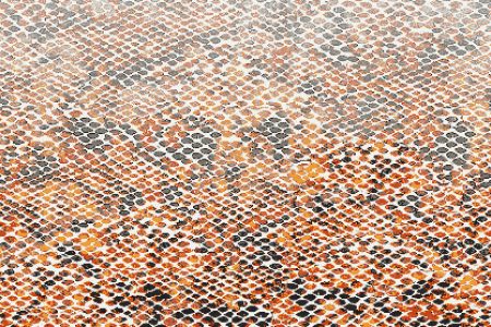 Hydrus Tangerine Tile Pattern