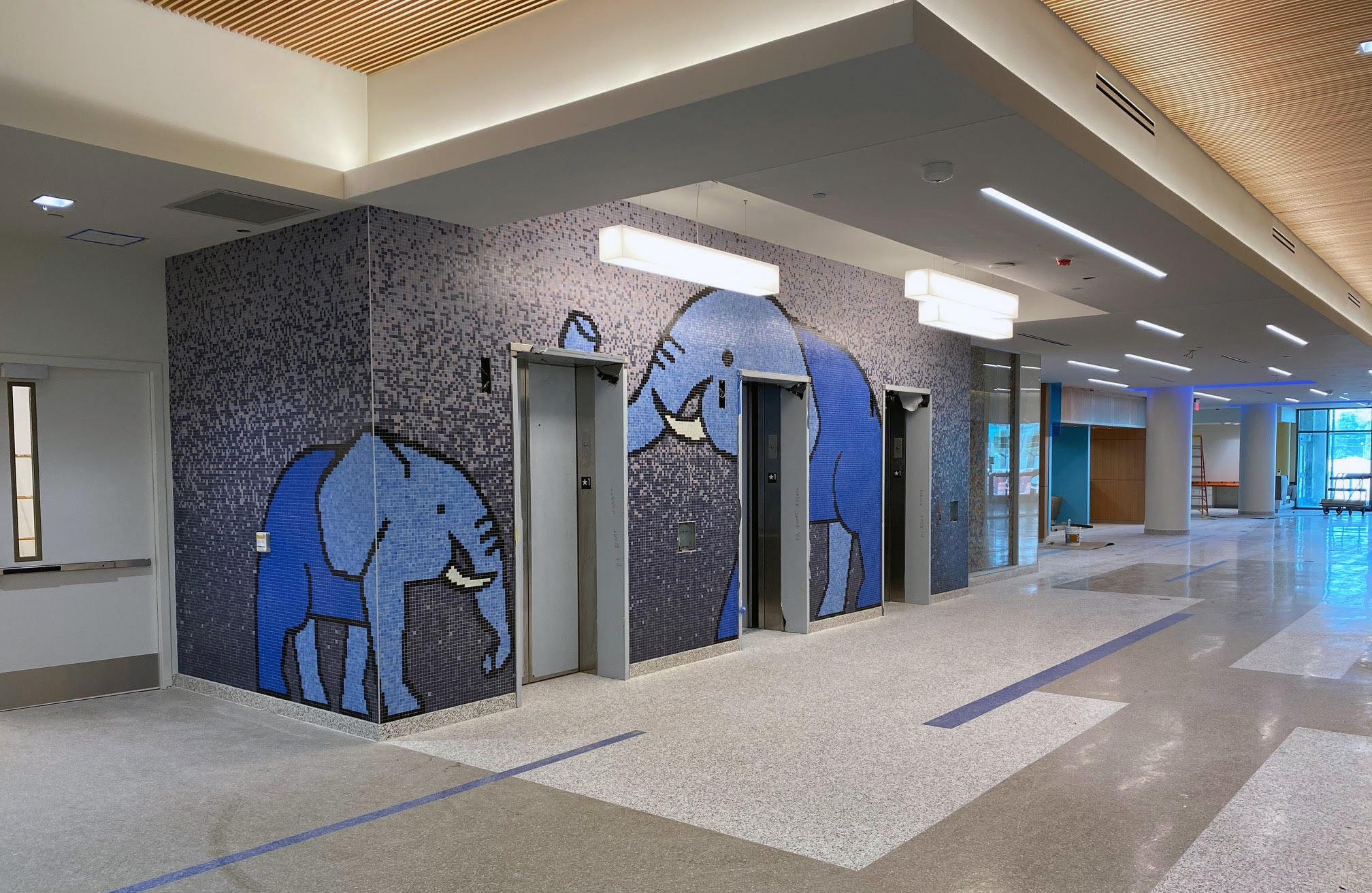 Driscoll Children's Hospital - Artaic